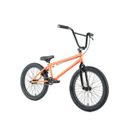 Division BMX Reark 20" Complete Bike
