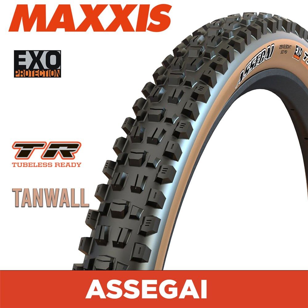 MAXXIS Assegai 29 X 2.50 WT Folding TR EXO 60 TPI Dual Compound Tan Wall